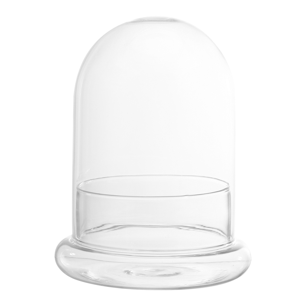 Hộp Kính Trong Suốt Trưng Bày Cloche Bell Dome Trưng Bày Cây Mọng Nước Đèn Thần Tiên