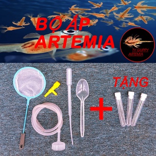 Bộ ấp Artemia chuyên dụng,Full dụng cụ ấp Artemia