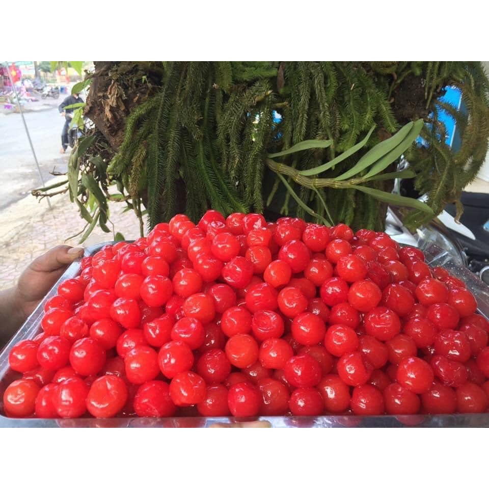Mứt chery sấy giòn Đà Lạt hộp 500g.