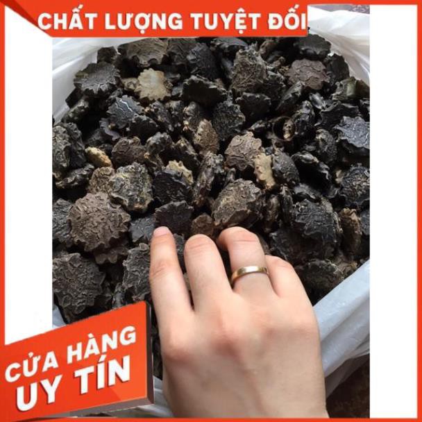 [Mã 267FMCGSALE giảm 8% đơn 500K] 1kg Hạt Gấc Khô (Mộc miết tử) loại tốt