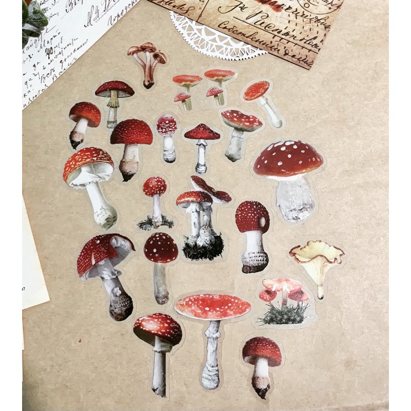 [STICKER] 40 hình dán trang trí Nấm Collect mushroom