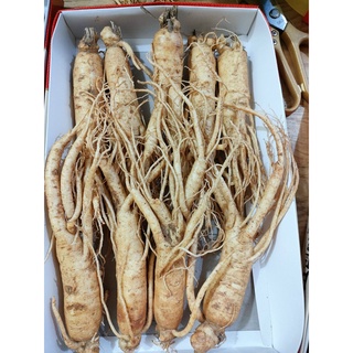 Sâm tươi Hàn Quốc chính hãng loại 8 củ 1 kg