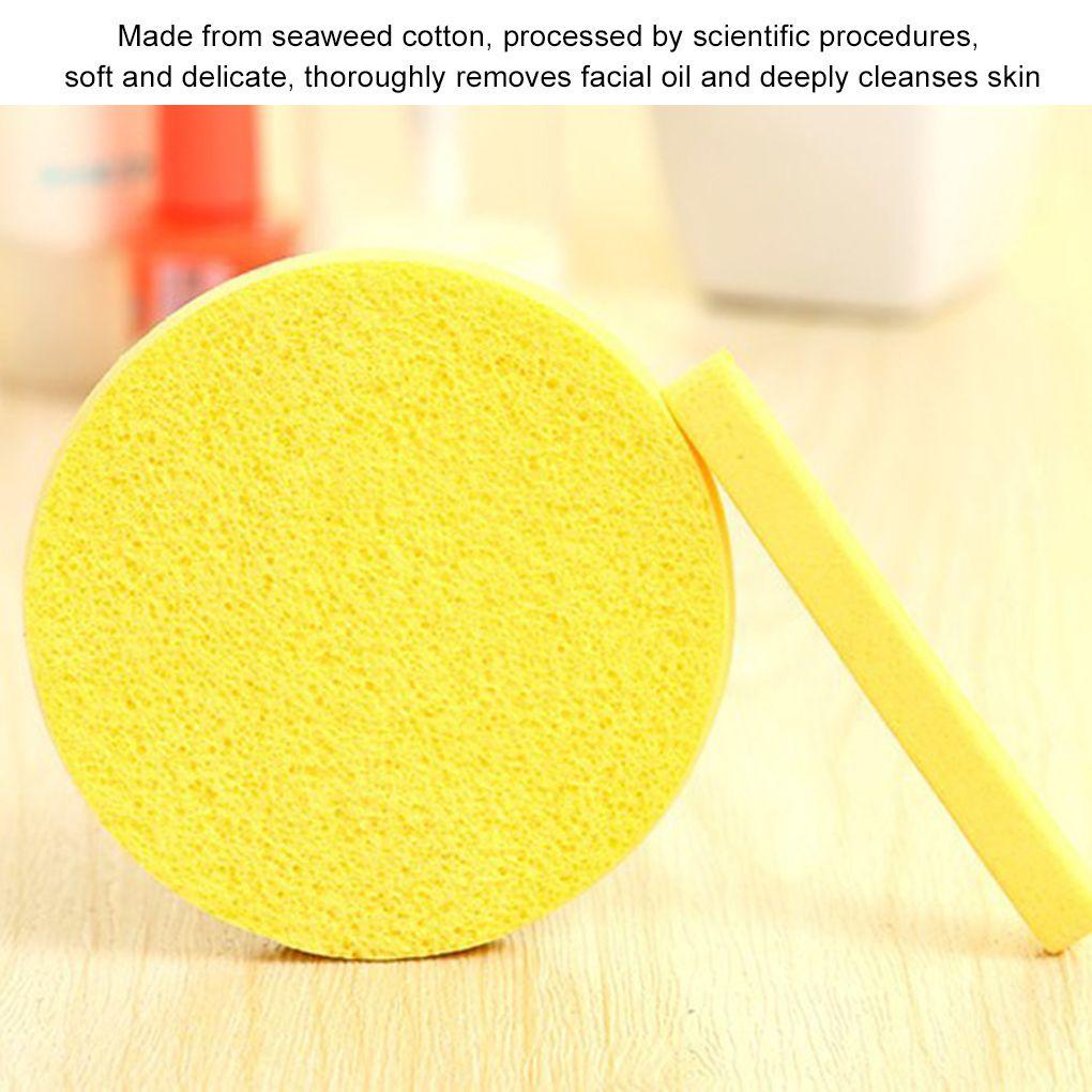 CACTU Bộ 12 Miếng Mút Tẩy Tế Bào Chết Chăm Sóc Da Mặt