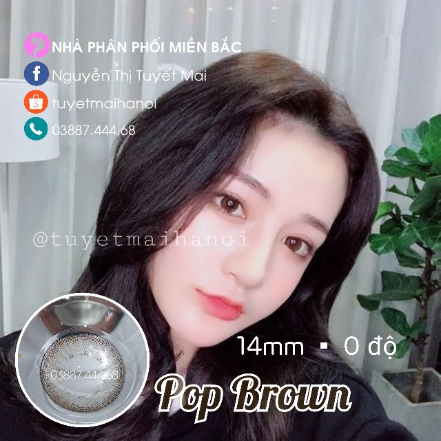 Kính Áp Tròng Màu Nâu Tự Nhiên Pop Brown 14mm 0 Độ - Lens Hàn Quốc Chính Hãng Vassen Sexy Me