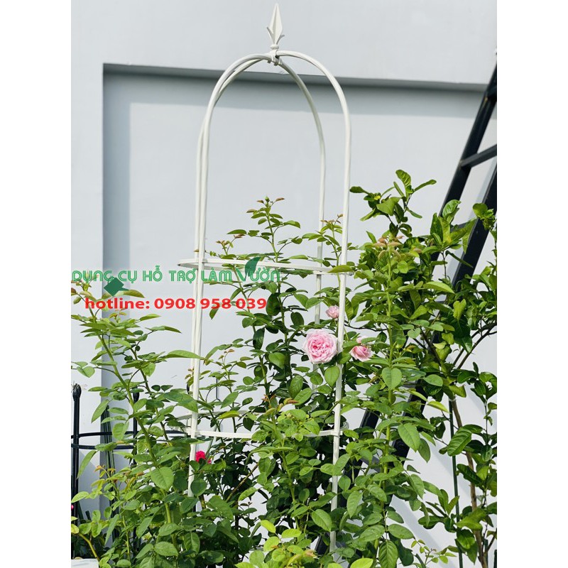 Khung cho hoa hồng leo của Nhật cao 210cm có 3 vòng đỡ cây đường kính 41cm màu trắng