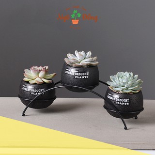 Bộ 3 Chậu Bằng Gốm Màu Đen Kèm Khung Sắt Giá Đỡ Trồng Cây Sen Đá Xương Rồng Tiểu Cảnh Trang Trí Nhà Cửa Để Bàn Làm Việc