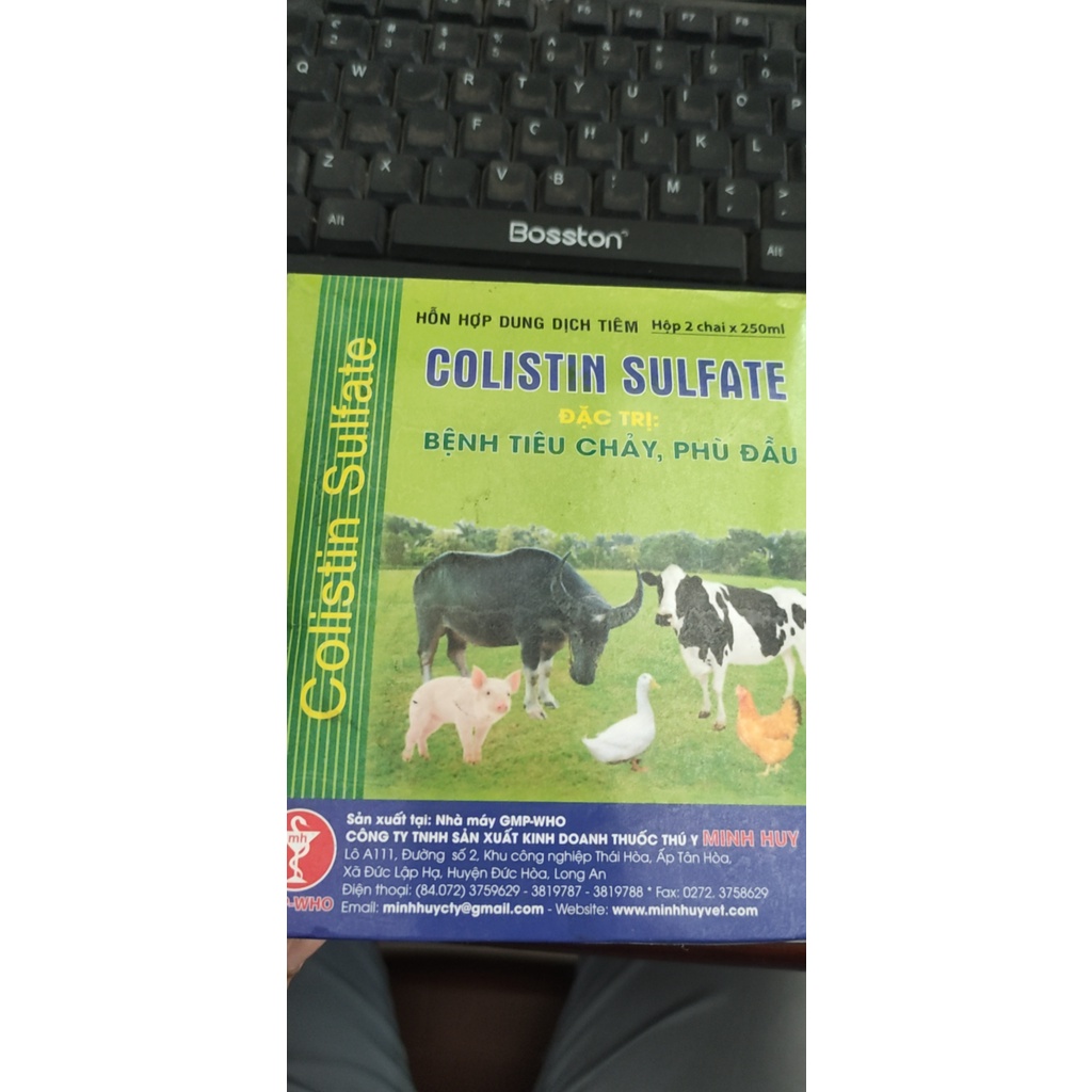 [Giá tốt] Colistin sulfate 250ml minh huy tụ trùng,thương hàn Bổ sung vitamin và dinh dưỡng