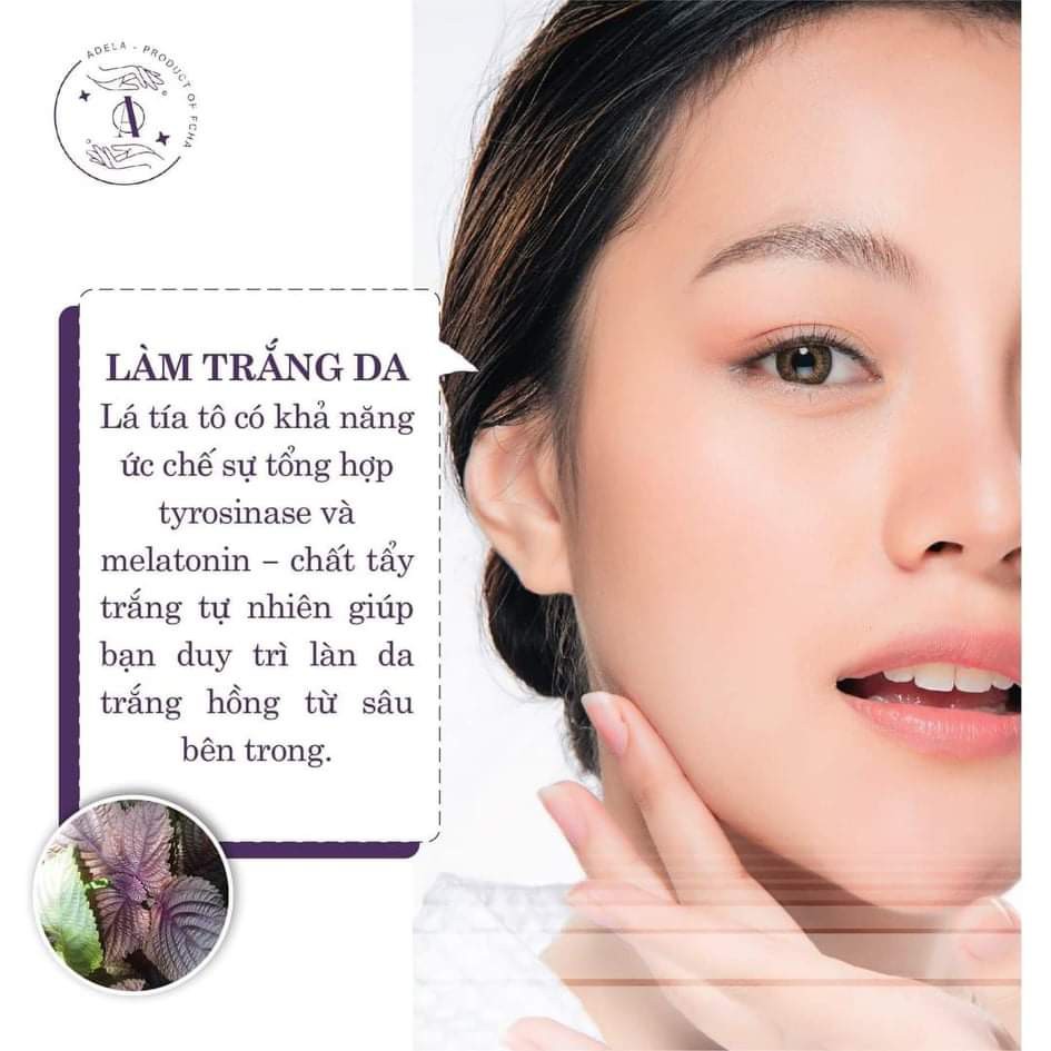 Sữa Rửa Mặt Tía Tô Adela (Rửa mặt sạch sâu - Tẩy Trang Dịu Nhẹ) | BigBuy360 - bigbuy360.vn