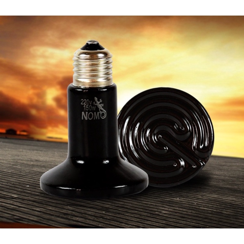 Đèn sưởi đêm - đèn sưởi sứ cho bò sát thú cưng NOMOYPET