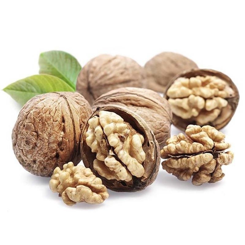 hạt óc chó M07
