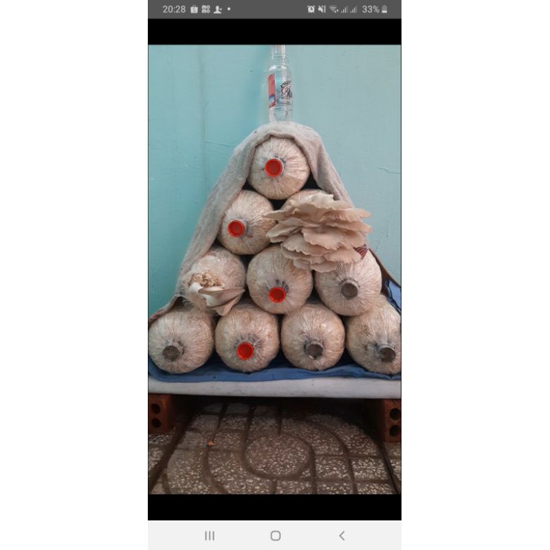 combo hàng đi 500 | BigBuy360 - bigbuy360.vn