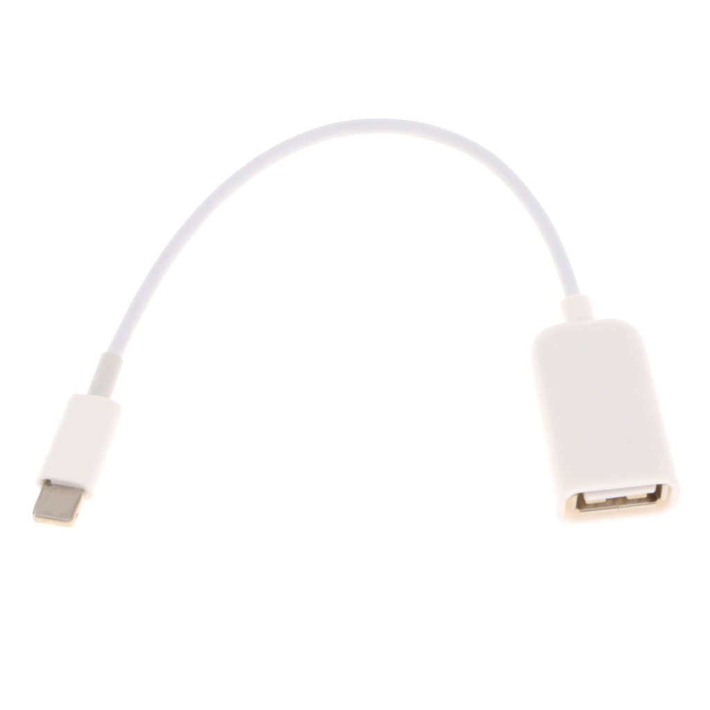 USB Female OTG Adapter Cable Connect Convert Lead for Ipad iPhone Below 10.3 | BigBuy360 - bigbuy360.vn