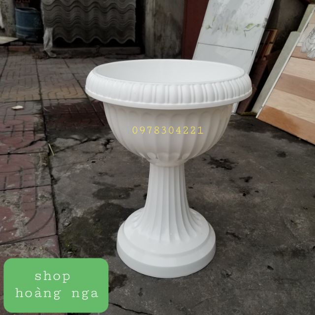 Chậu ly trồng cây