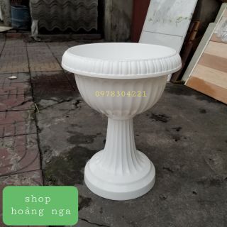 Chậu ly trồng cây