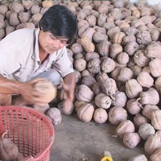 1kg hạt bí sống