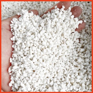 Đá perlite - Đá trồng Sen Đá chuyên dụng
