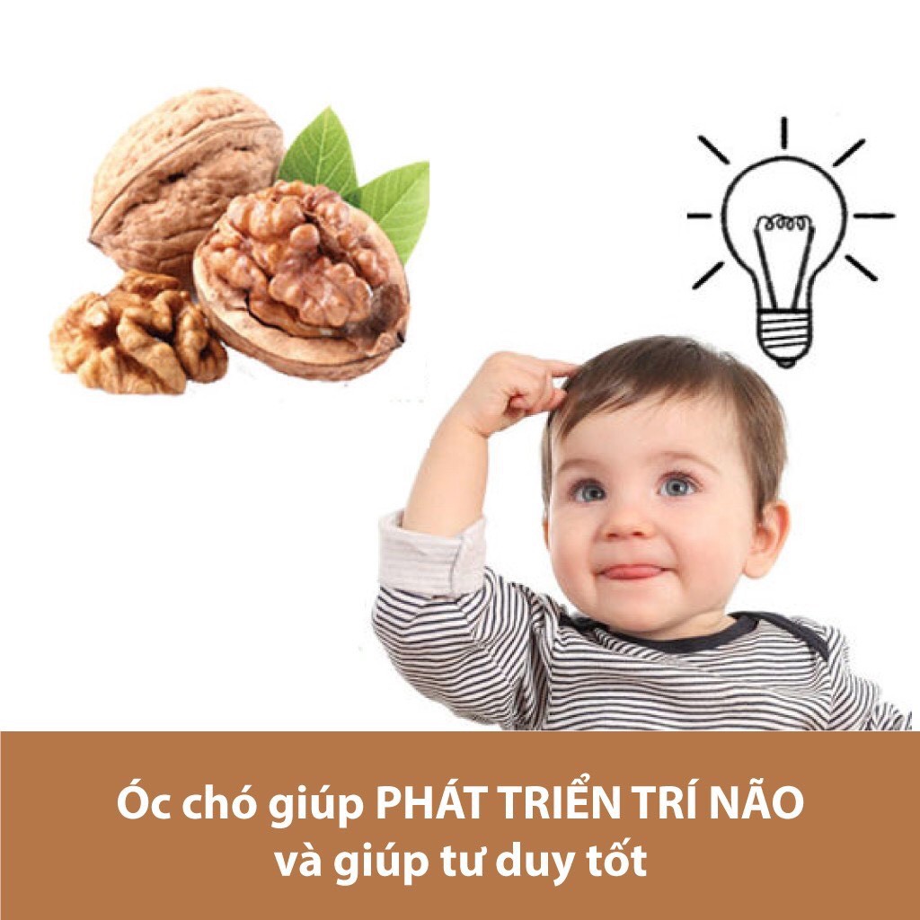 [ HCM ] Hạt ÓC CHÓ LON PET 400Gram - Quả Óc Chó