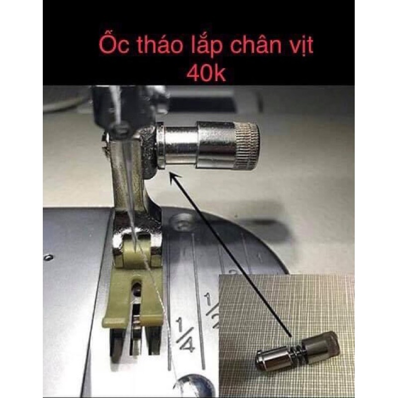 Ốc tháo lắp chân vịt dùng cho máy công nghiệp và bán công nghiệp