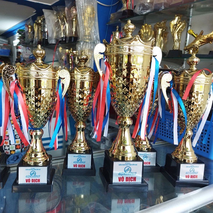 [Free thiết kế - in ấn logo] Cúp lưu niệm thể thao bằng kim loại giá rẻ TL-037