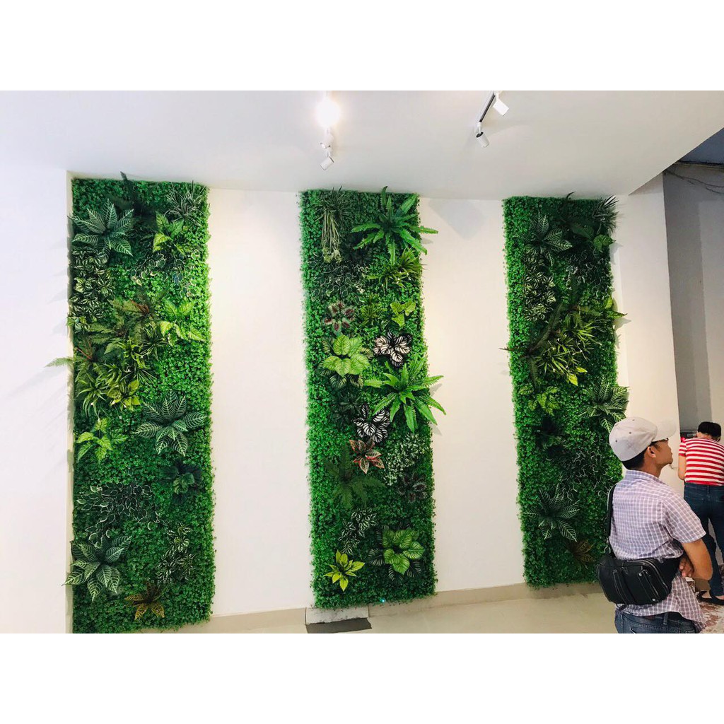 Cỏ treo tường tai chuột kích thước 60cm x 40cm.