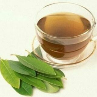 Cây Vối nếp mùi thơm vị không đắng