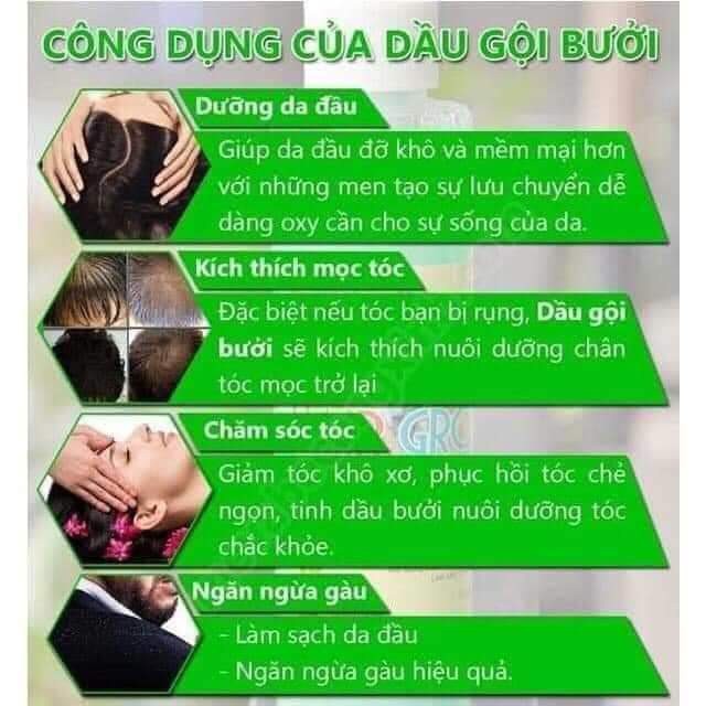[Chính hãng] Bộ dầu gội xả bưởi Valert Grapefruit siêu mêm mượt phục hồi ngăn rụng kích thích mọc tóc 850mlx2 | BigBuy360 - bigbuy360.vn
