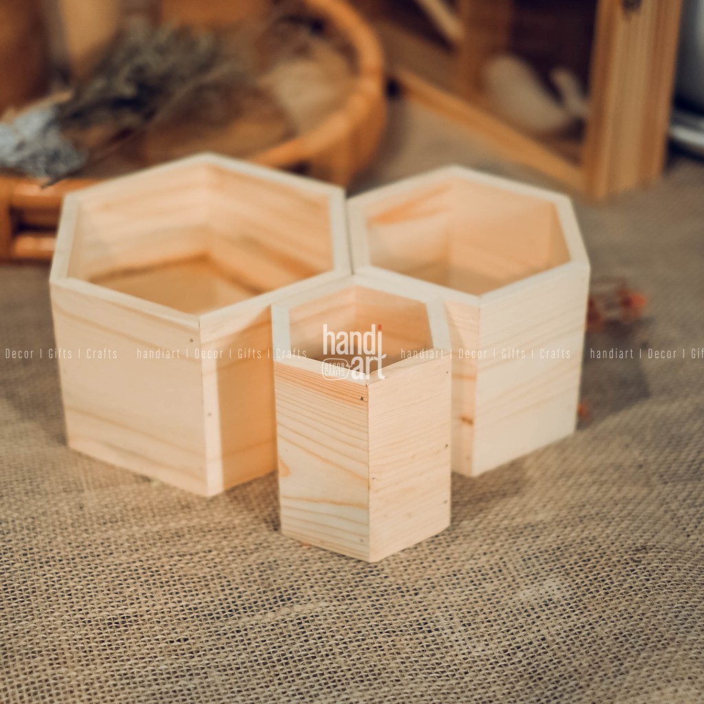Bộ 3 chậu gỗ lục giác - chậu gỗ lục giác để bàn