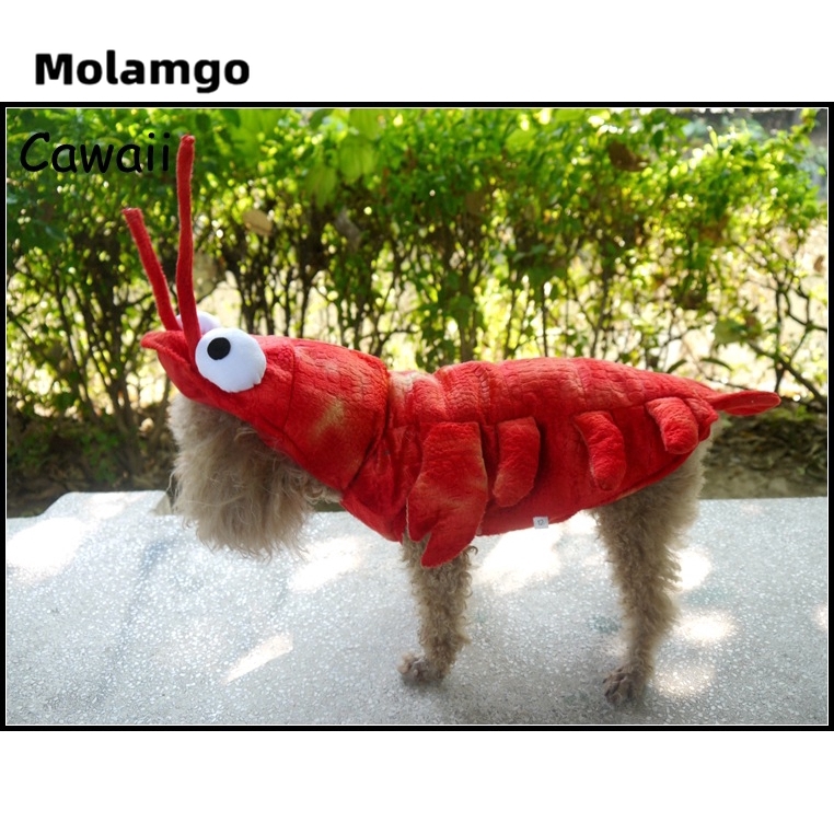 Đồ Hóa Trang Cho Thú Cưng Dịp Halloween