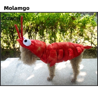 Đồ Hóa Trang Cho Thú Cưng Dịp Halloween