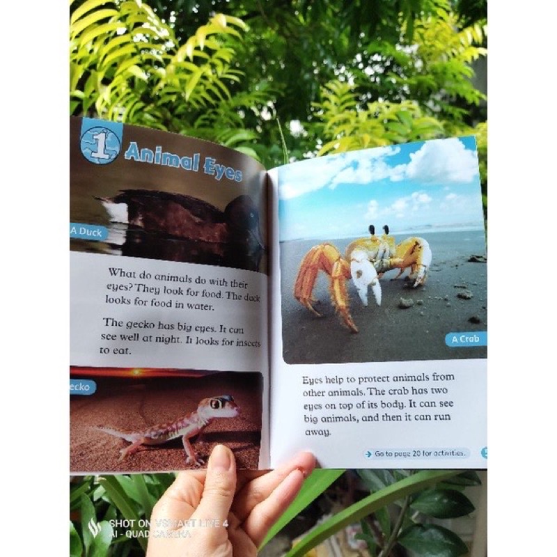 Read and discover  level 1 tặng kèm mp3
