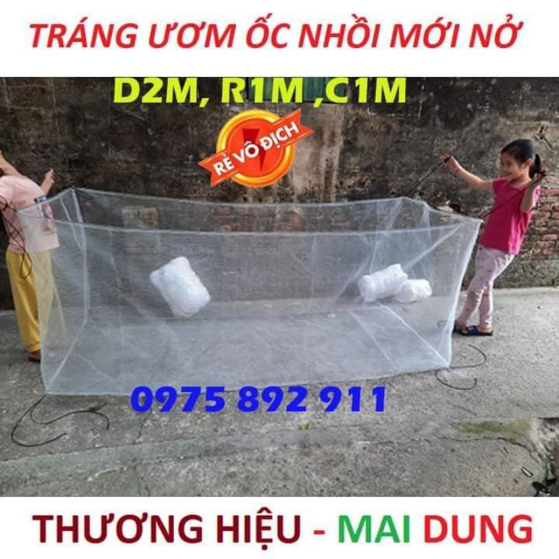 Tráng ,lồng , vèo nuôi ốc nhồi - loại mới nở đến hạt lạc