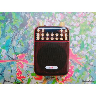 Loa trợ giảng YS 907