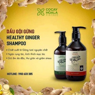 [TẶNG GEL VỆ SINH X2NANO NGHỆ MINI] COMBO DẦU GỘI DẦU XẢ GỪNG TƯƠI NGUYÊN CHẤT(ONA GLOBAL)