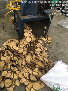 Gắm Khô Khắc Tinh Gout( hỗ trợ chuyển hóa và đào thải axit uric trong máu)