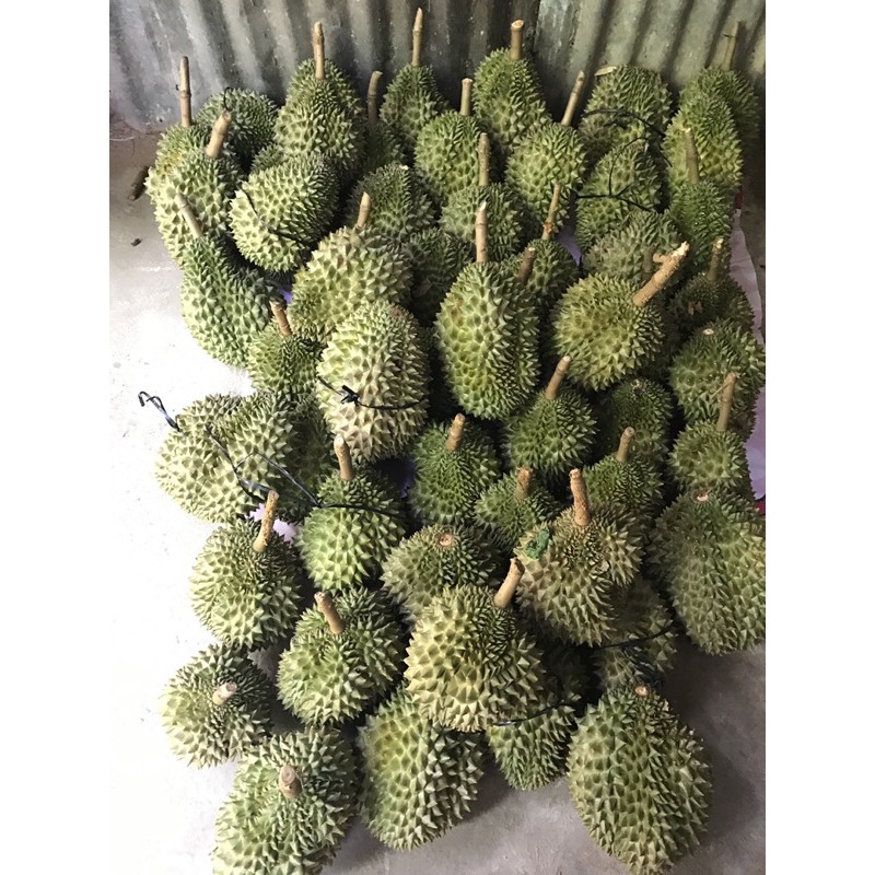 Cơm Sầu Riêng Sạch