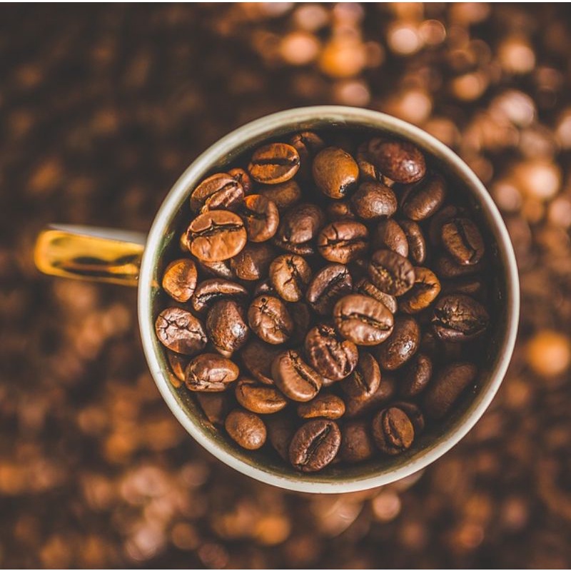 Cafe Robusta Honey rang mộc nguyên chất Ban Mê Thuột 500g