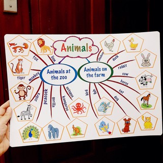 Sơ đồ tư duy mindmap học tiếng anh cho bé.
