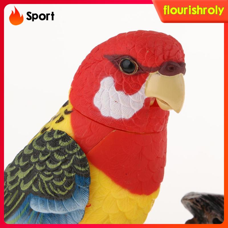 Đồ Chơi Điện Tử Biết Nói Cảm Ứng Giọng Nói Nhiều Màu Sắc Dành Cho Chim Vẹt