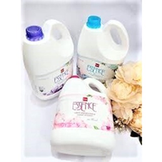 Nước giặt Essence Thái Lan
