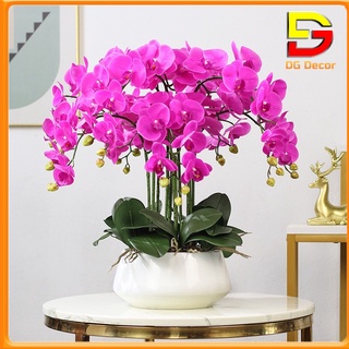 Bình Hoa Lan Hồ Điệp Hoa Giả Để Bàn Trang Trí Phòng Khách Kệ TiVi Cao 60cm DC-156