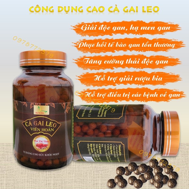 Cao cà gai leo viên hoàn hộp 300 viên_Bổ gan, mát gan, hạ men gan, phục hồi tế bào gan