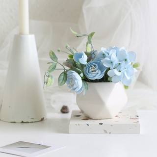 Chậu sứ trắng hoa phối