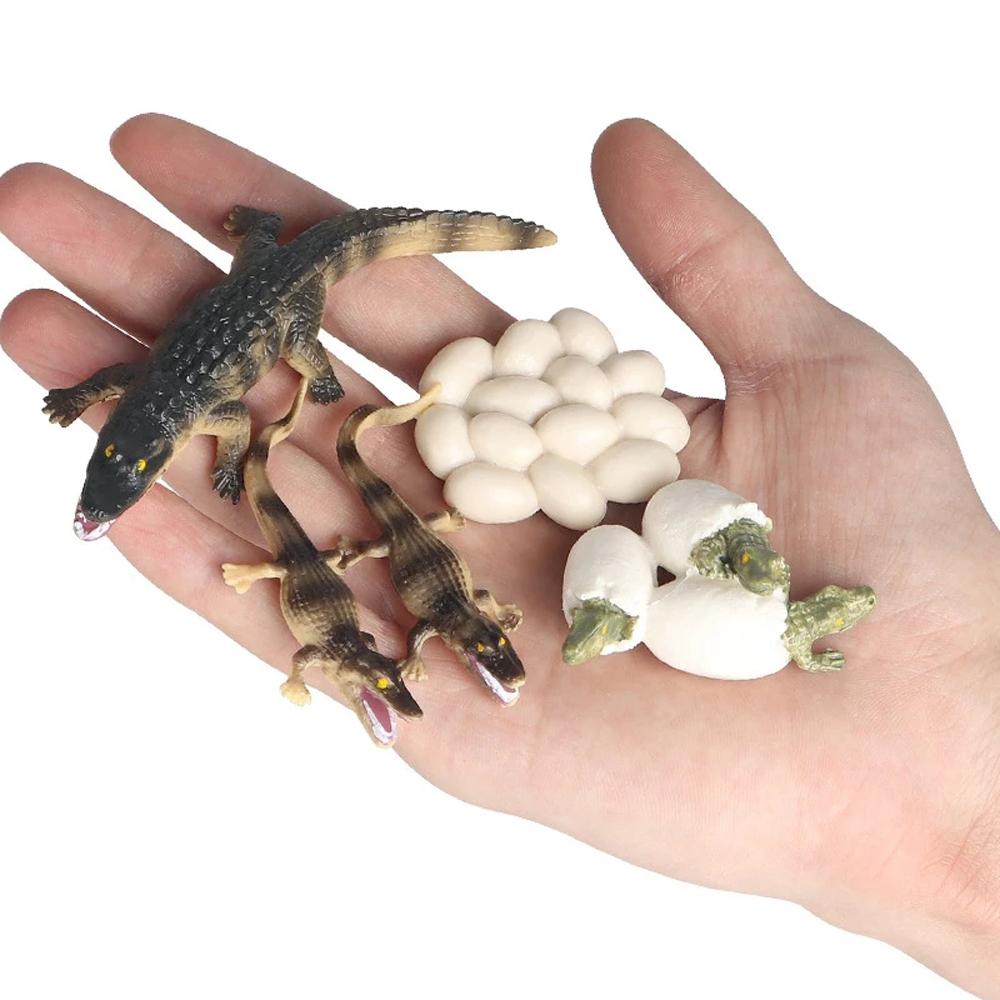 Mô Hình Đồ Chơi Giáo Dục Nhận Diện Con Chuồn Chuồn REBUY1