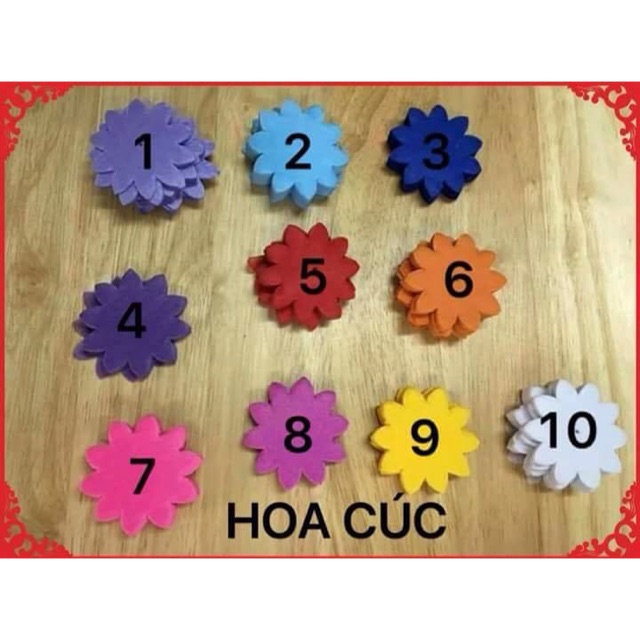 Combo 5bo hoa cuc