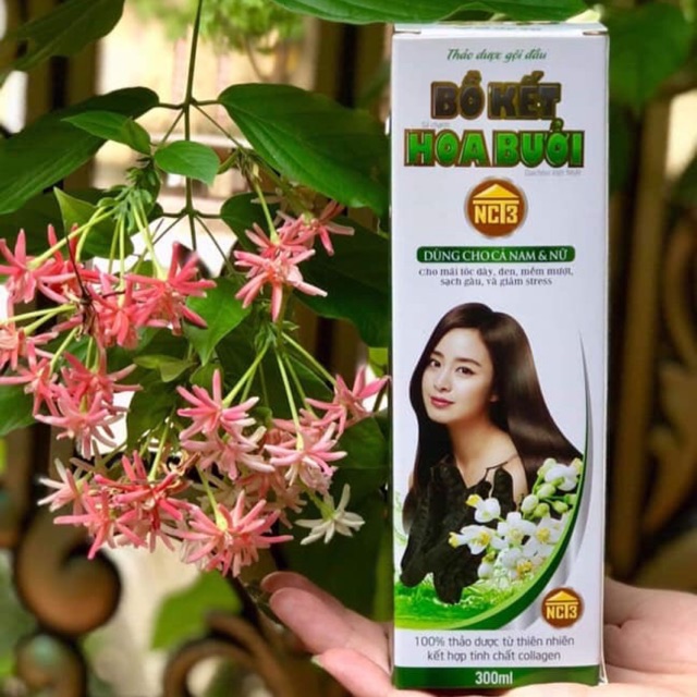 Dầu gội bồ kết hoa bưởi