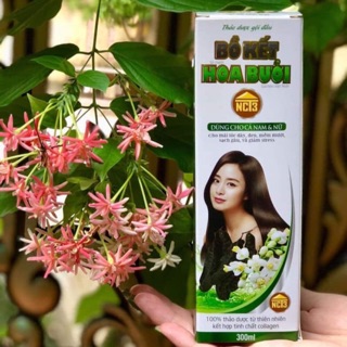 Dầu gội bồ kết hoa bưởi