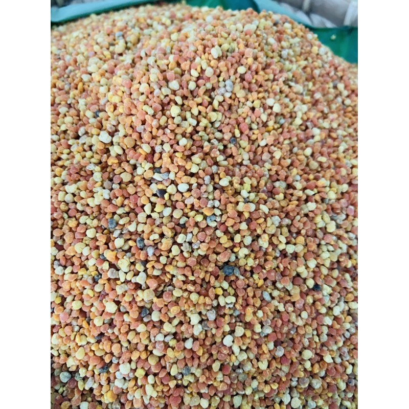 Phấn hoa mật ong 500g