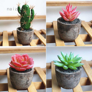 Cây Xương Rồng Giả Để Bàn Trang Trí