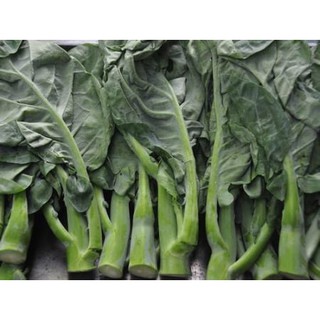 Hạt giống rau cải Rổ, cải Làn