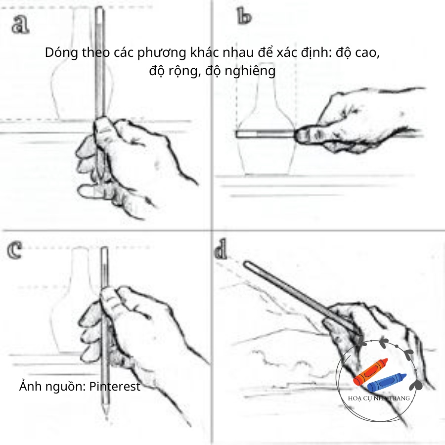 Que Đo Dây Dọi Dùng Trong Vẽ Hình Hoạ, Dùng Để Dựng Hình Trong Mỹ Thuật